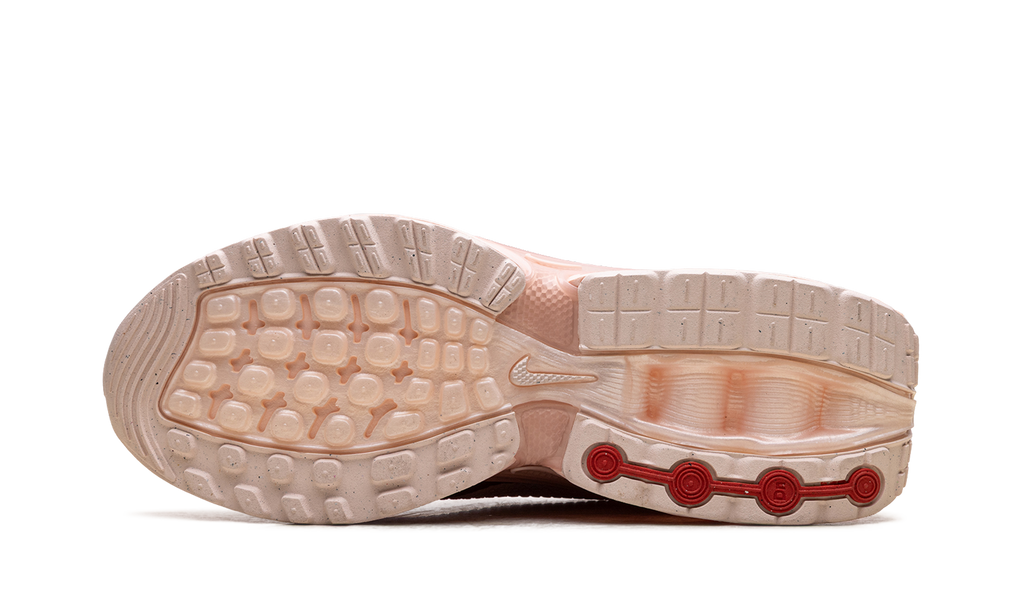 Air Max Dn WMNS "Washed Coral Guava Ice" HV4861 601