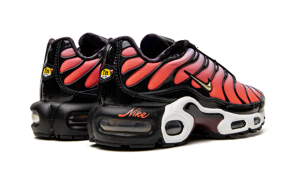 AIR MAX PLUS MNS WMNS "Sisterhood" DO6115 500