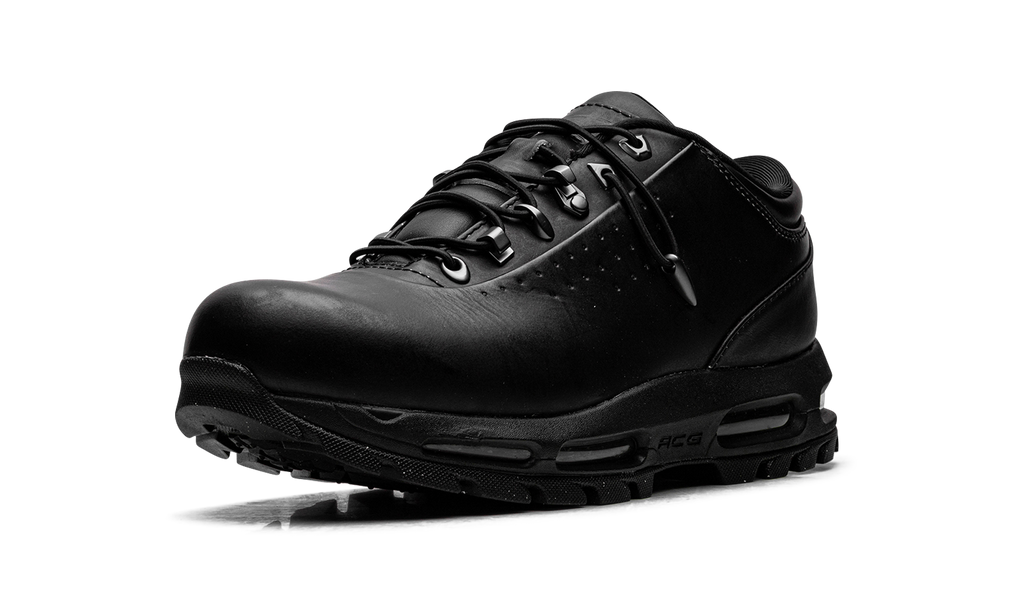 Air Max Goadome Low SP "Black Metallic Silver Pale Citron" IR2173 001
