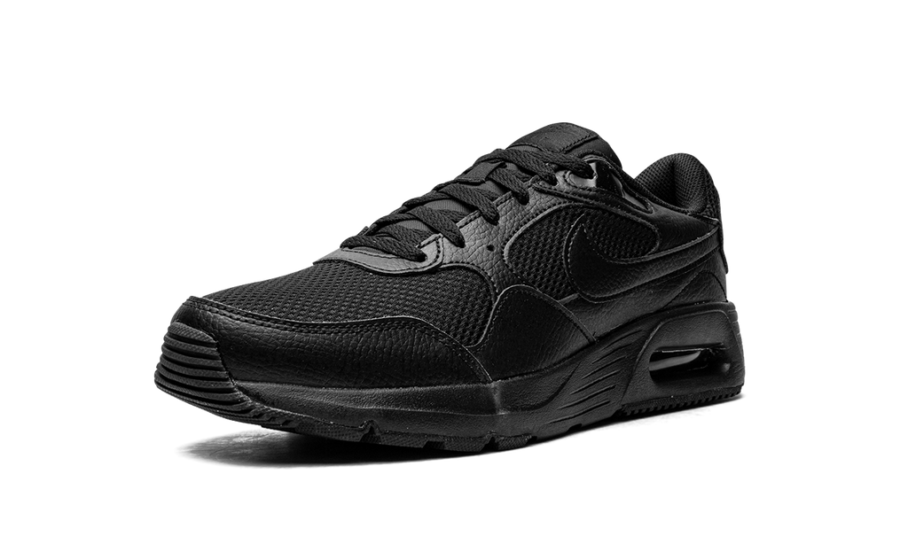 Air Max SC "Triple Black" CW4555 003