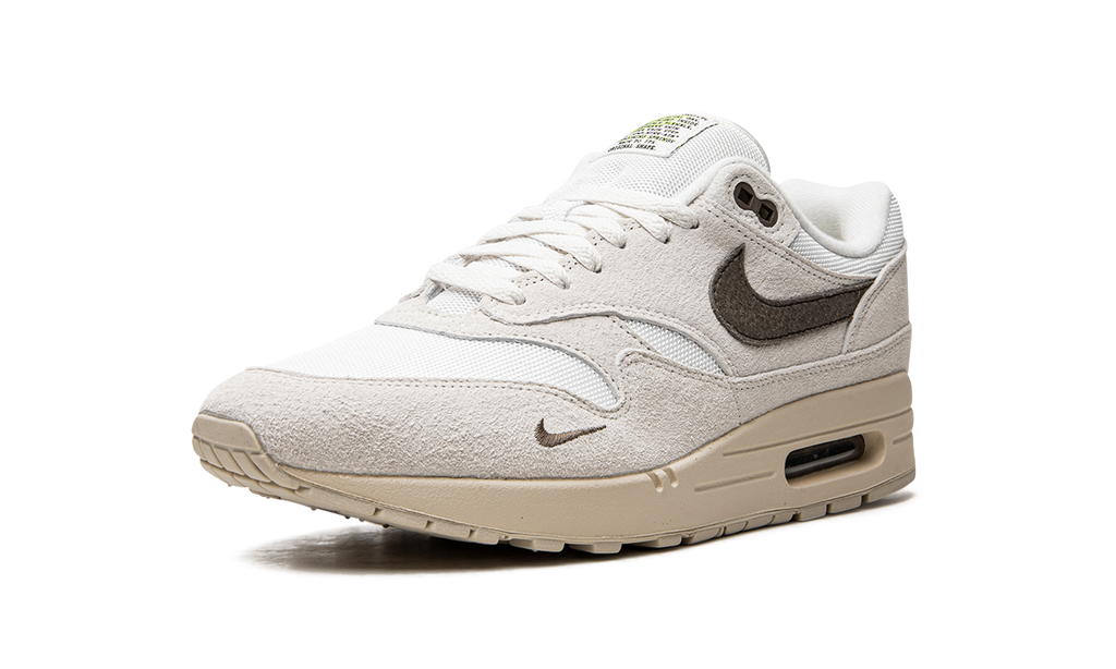 Air Max 1 "Sail Ironstone" DZ4494 100