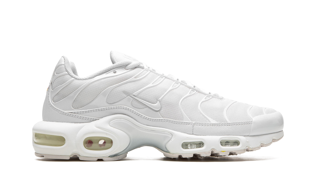AIR MAX PLUS WMNS "Pure Platinum" DM2362 100