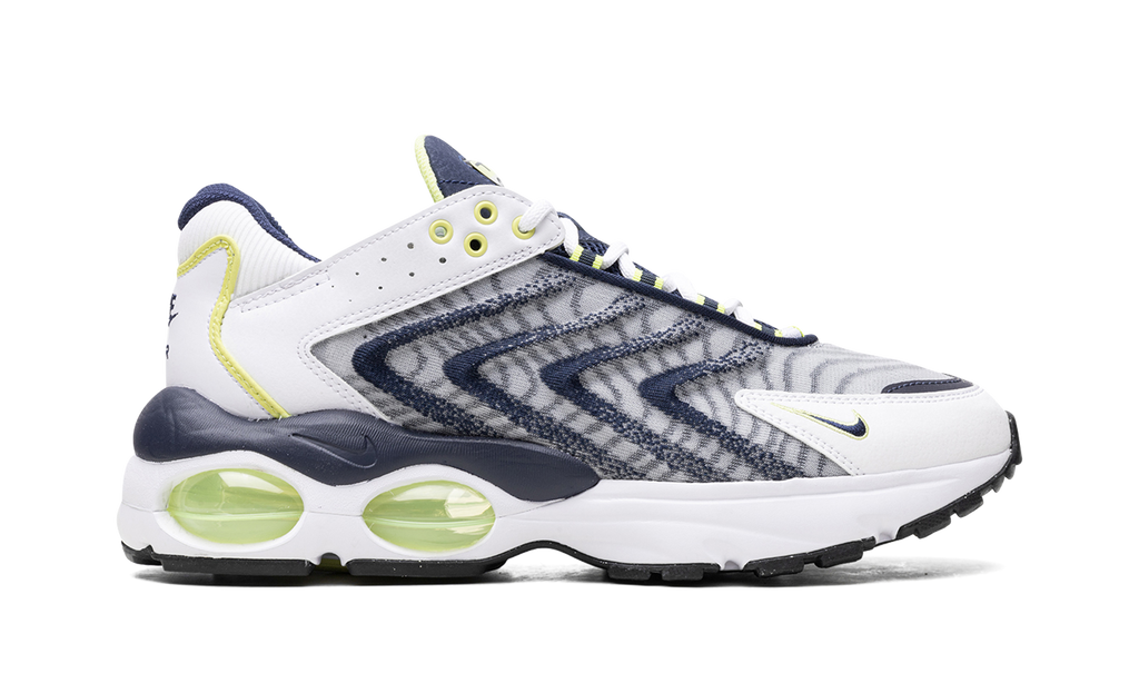 Air Max TW "Navy" DQ3984 101