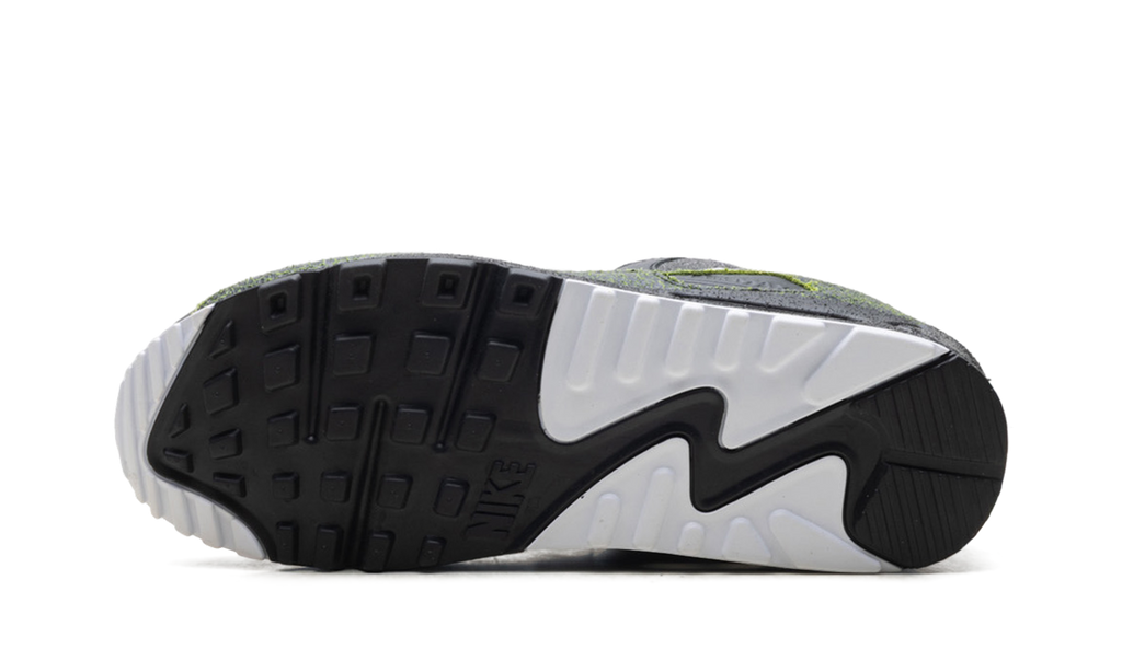 Air Max 90 "Tiempo 2005" IU0523 010