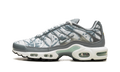 Air Max Plus "Waterway" FV0394 300