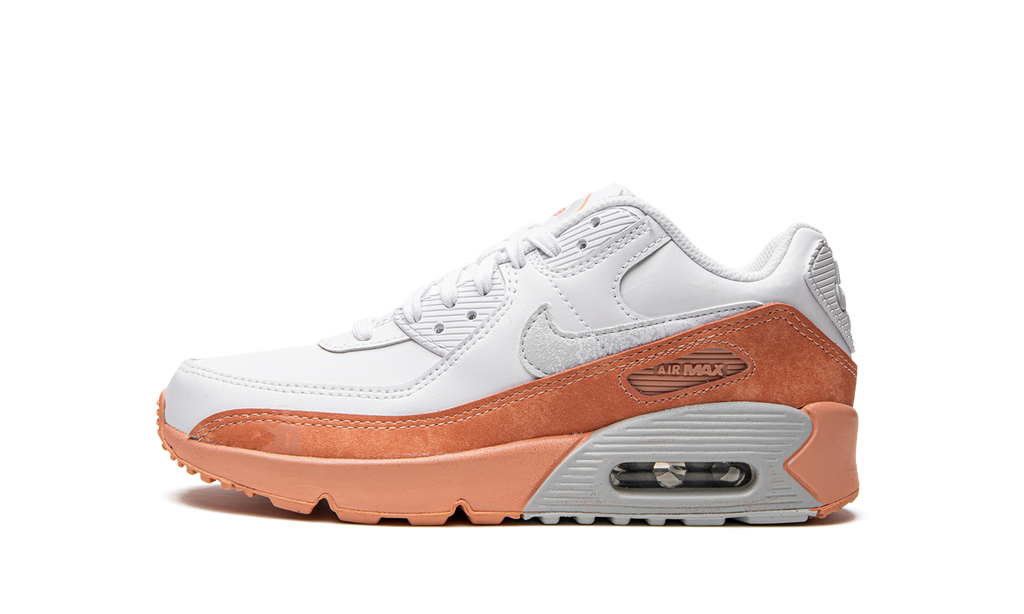 Air Max LTR 90 GS "White Light Madder Root" DM0956 100