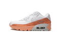 Air Max LTR 90 GS "White Light Madder Root" DM0956 100