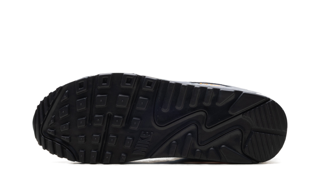 Air Max 90 "Cool Grey Sundial" HV6224 002