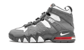 Air Max CB '94 "Cool Grey" DM8319 001