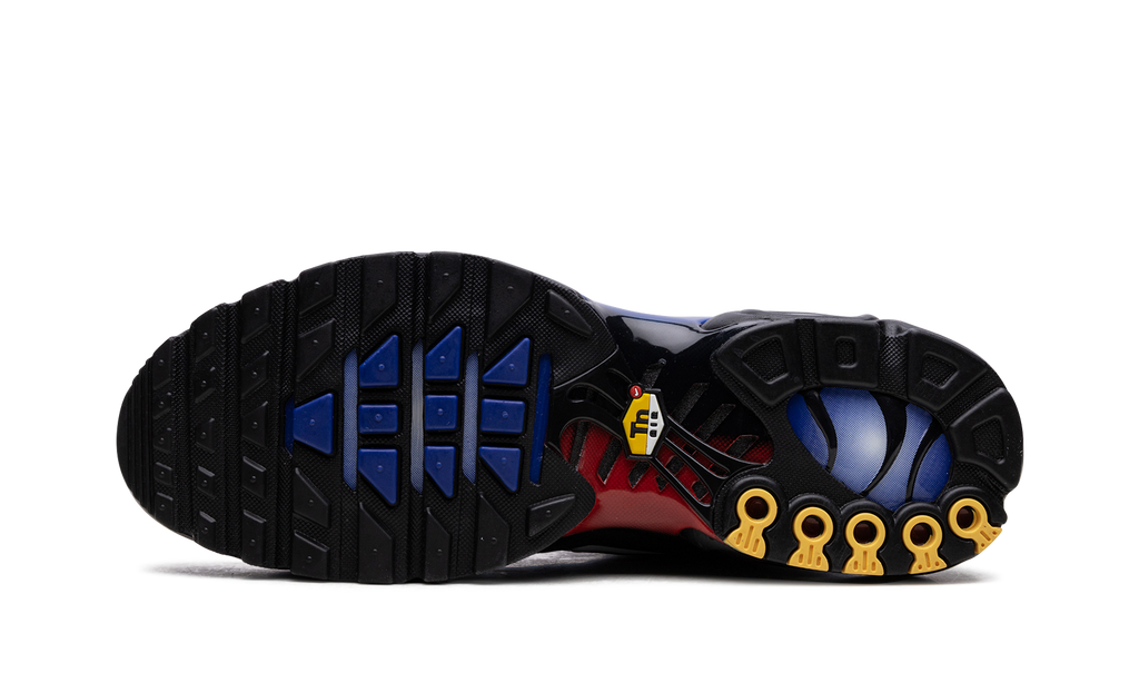 Air Max Plus "25th Anniversary" FV0393 001