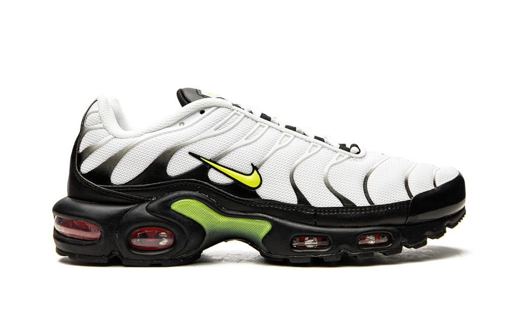 Air Max Plus "Retro Future" AJ2013 100