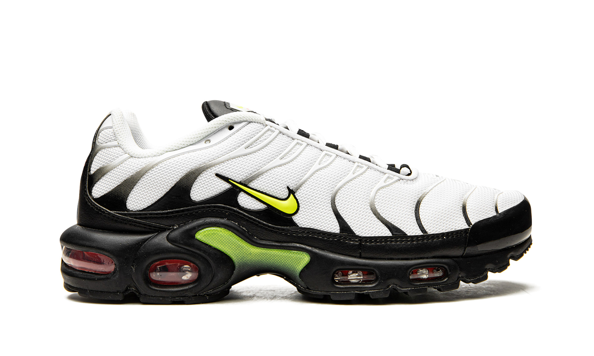 Air Max Plus "Retro Future" AJ2013 100
