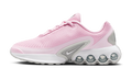 Air Max DN GS "Pink Foam" FB8987 601