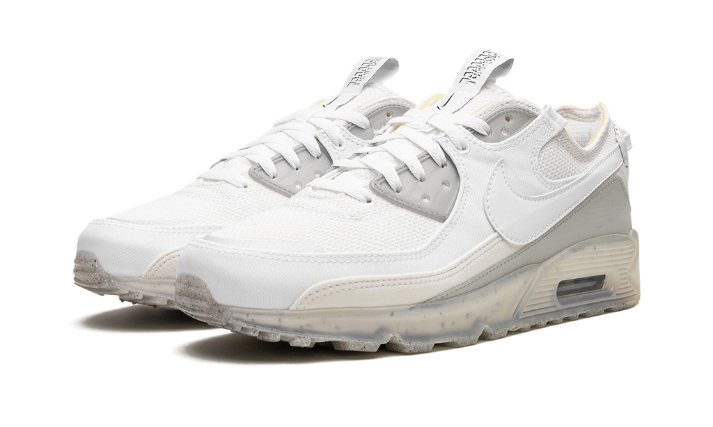 Air Max 90 Terrascape "White Grey" DQ3987 101