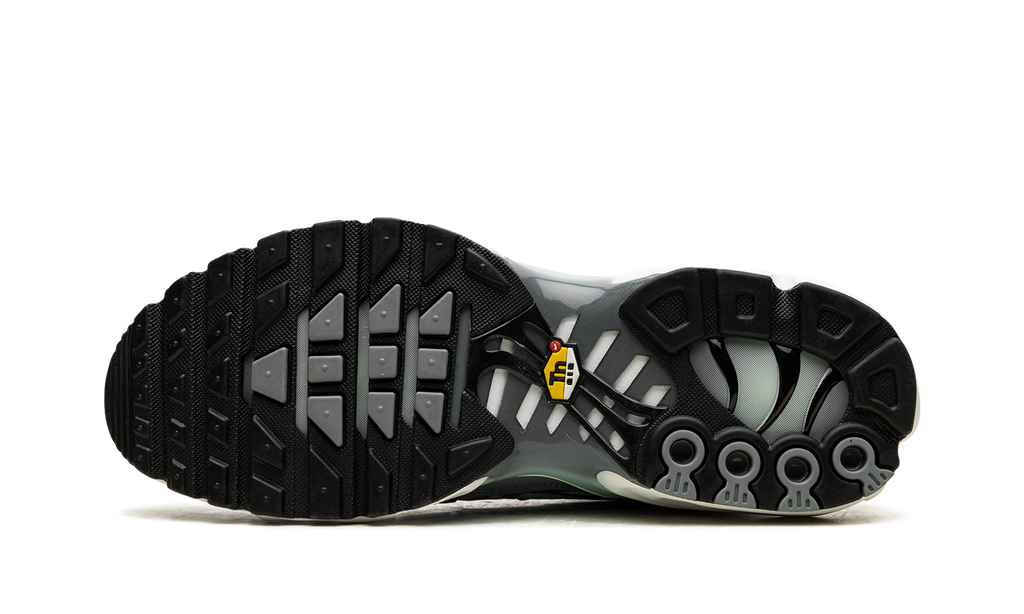 Air Max Plus "Waterway" FV0394 300