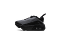 Air Max 2090 TD "Black Wolf Grey" CU2092 001