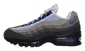 Air Max 95 OG "Old Royal" HJ5996 006