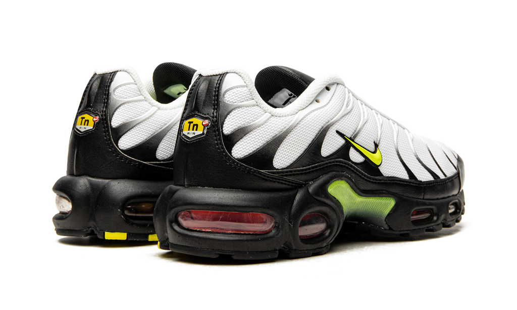 Air Max Plus "Retro Future" AJ2013 100