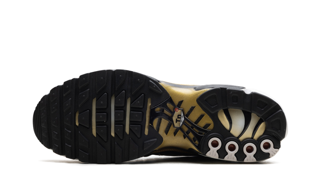 Air Max Plus "Footlocker - 50th Anniversary" HM0352 100