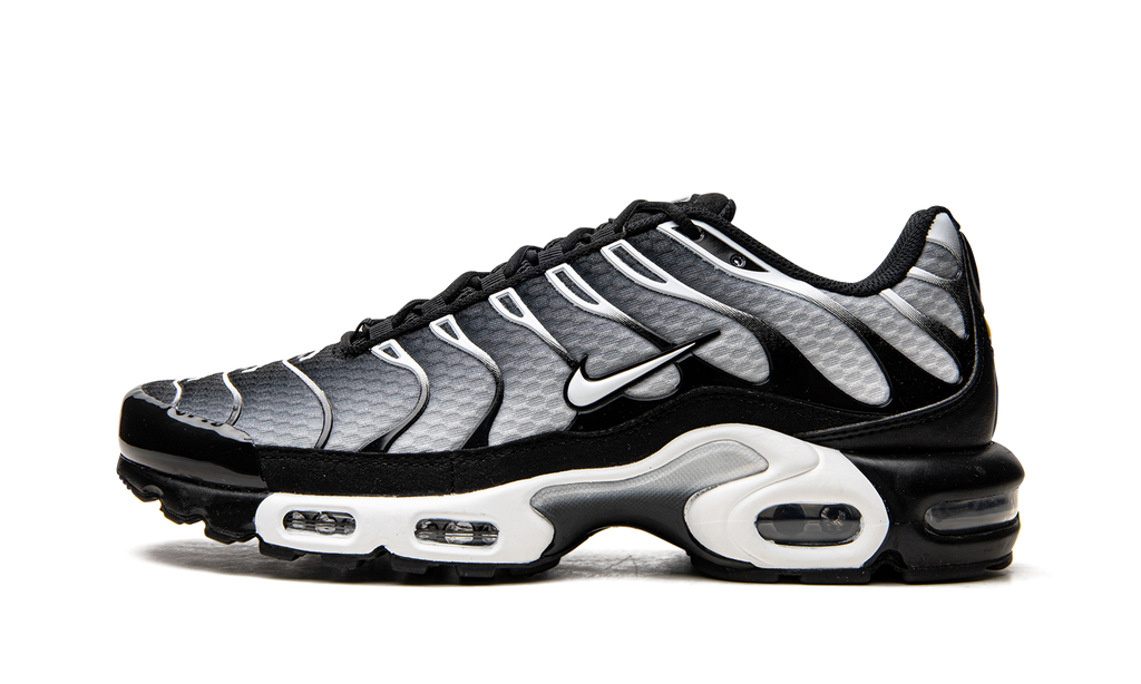 Air Max Plus "Black / Silver" DM0032 003