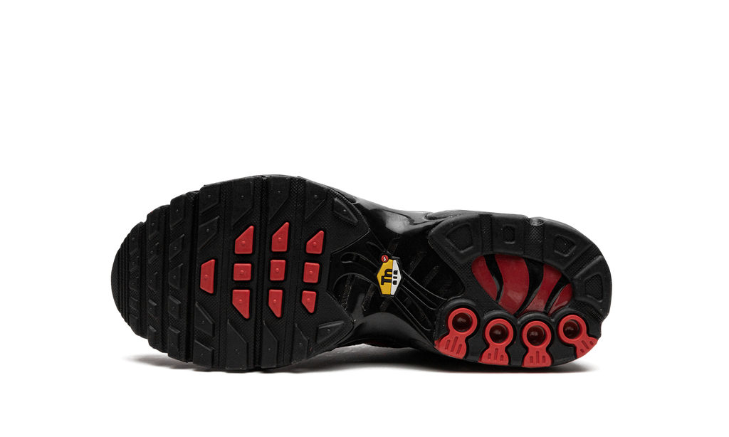 Air Max Plus GS "Bred" DQ1104 001
