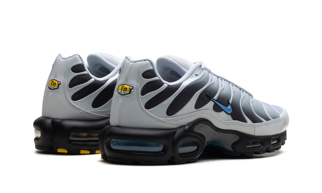 Air Max Plus "Grey University Blue Black" DM0032 015