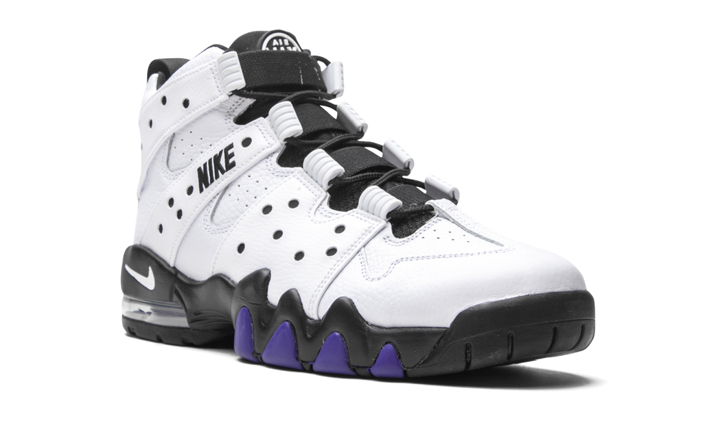 Air Max2 CB '94 "White / Varsity Purple" DD8557 100