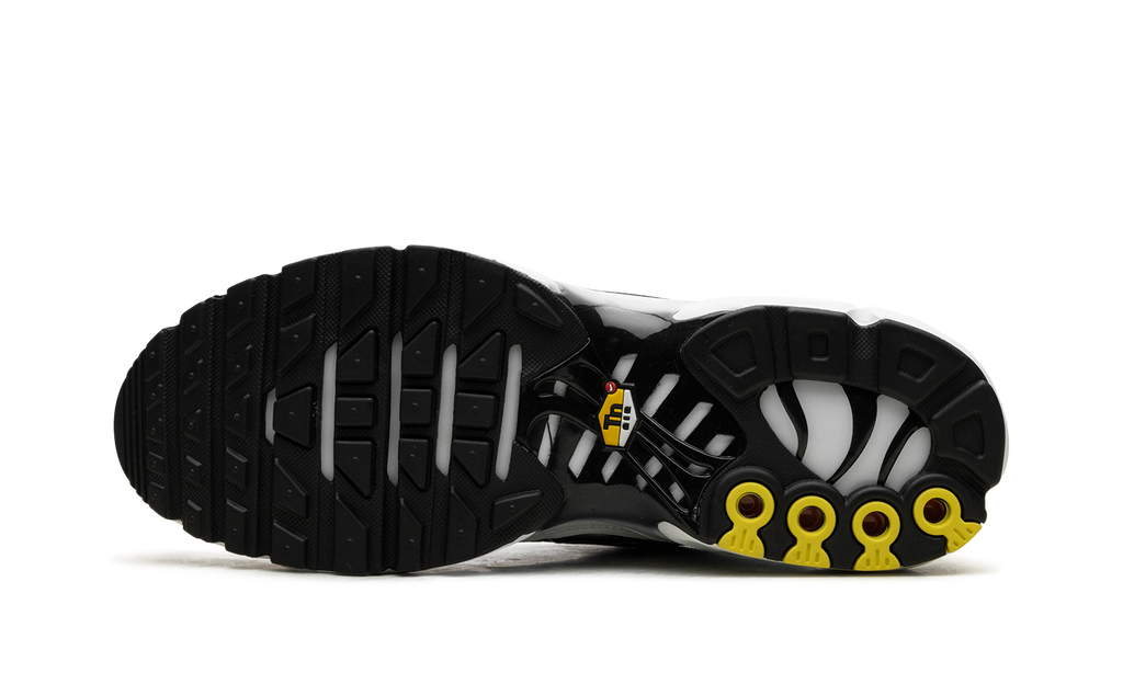 Air Max Plus "Black / White" CT1094 102