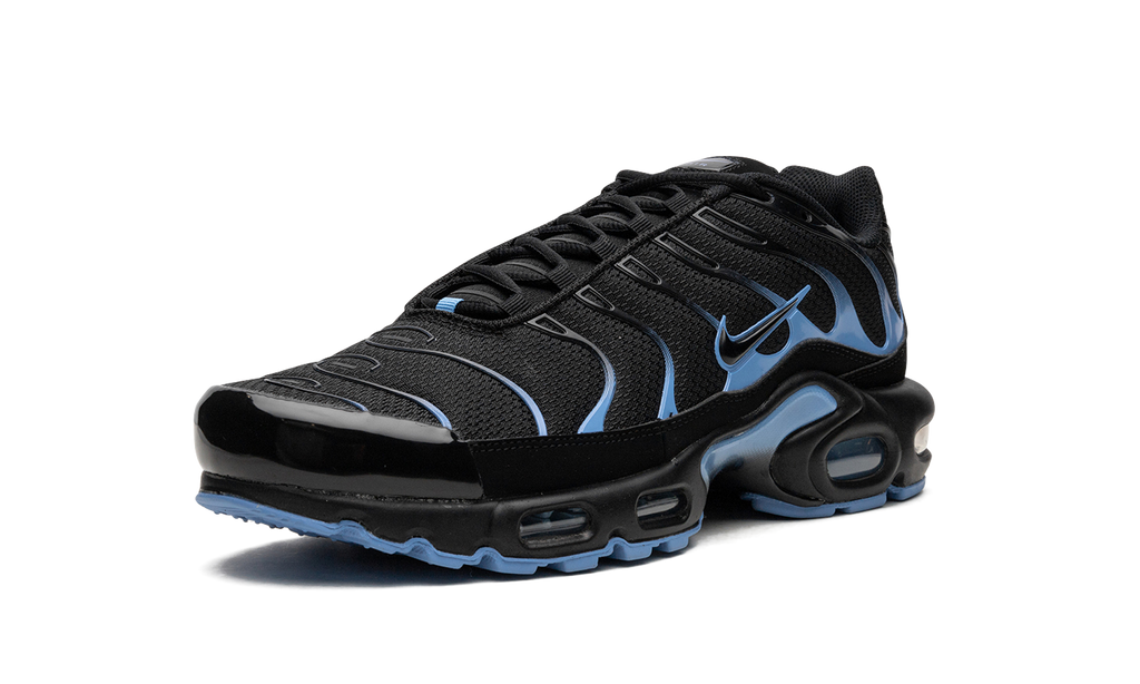 Air Max Plus "Black / University Blue" DM0032 005
