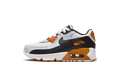 Air Max 90 LTR PS "PURE PLATINUM" CD6867 023