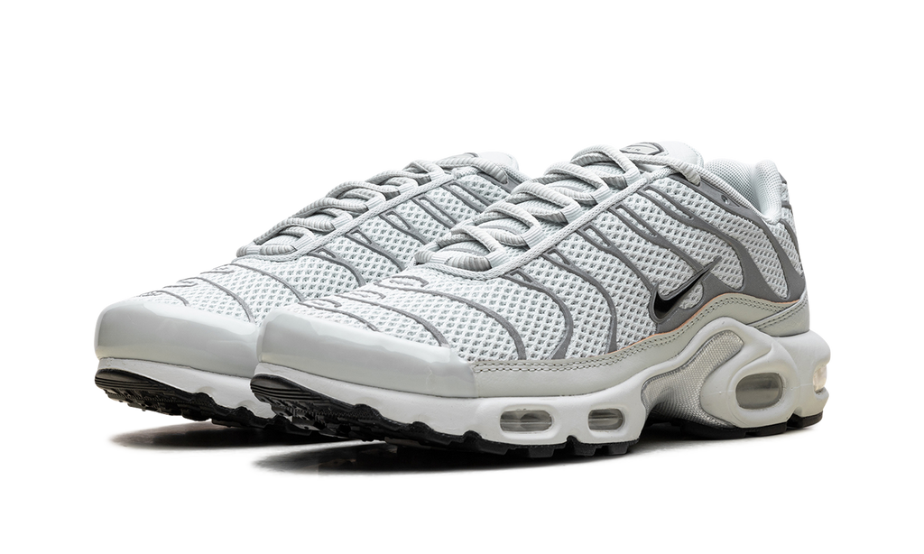 Air Max Plus WMNS "Light Silver" FV8480 002