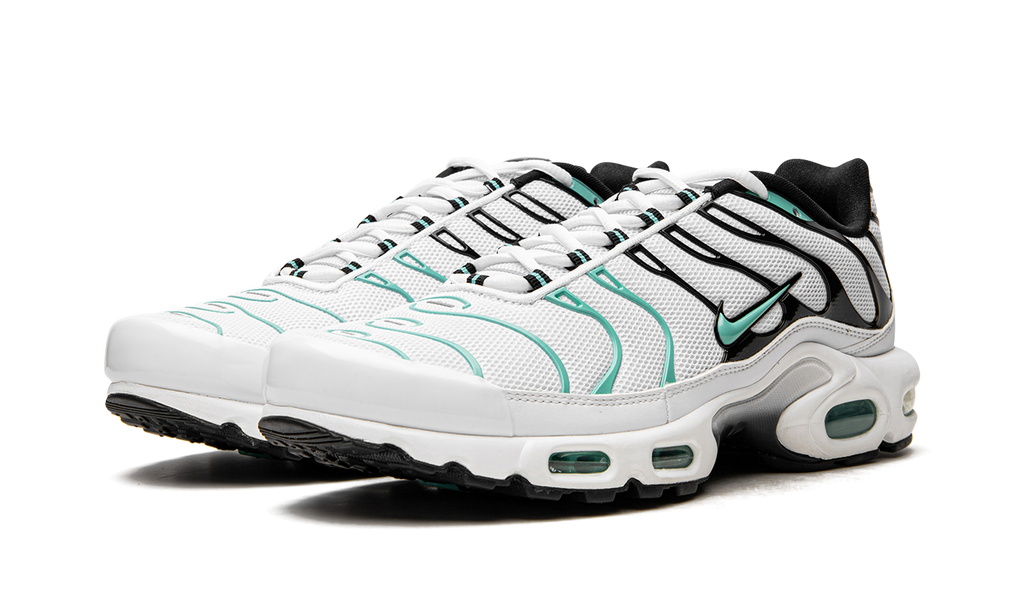 Air Max Plus "Atmos" 604133 148