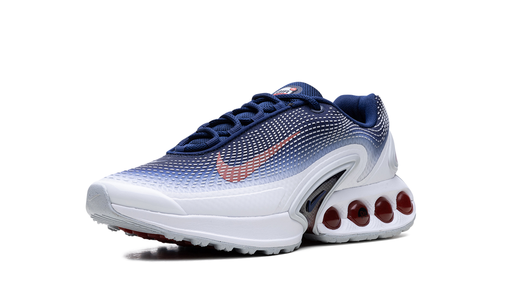 Air Max Dn "Team USA" FV2250 100