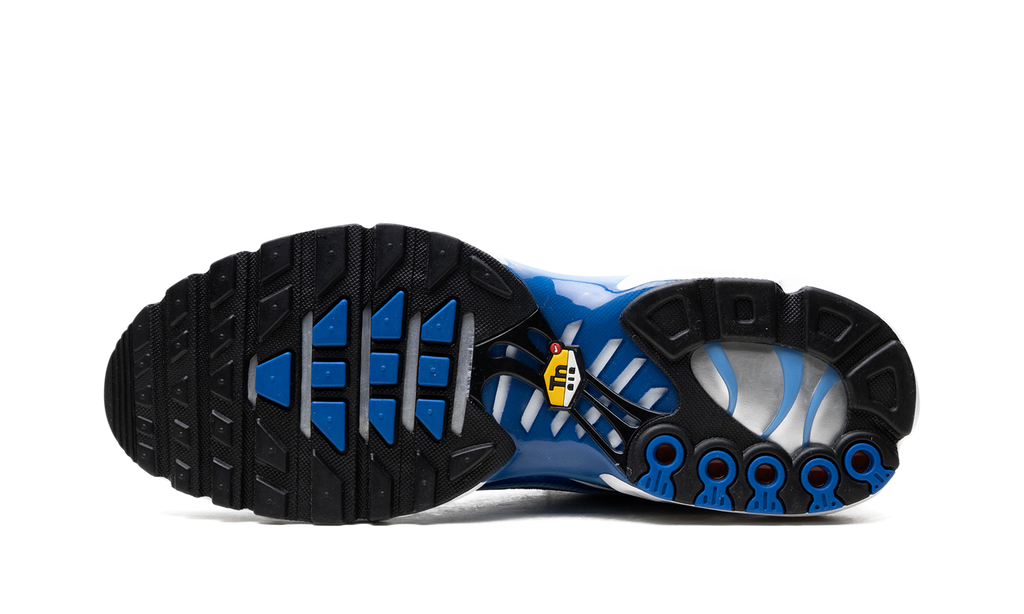 Air Max Plus "Light Streaks" DZ3531 400