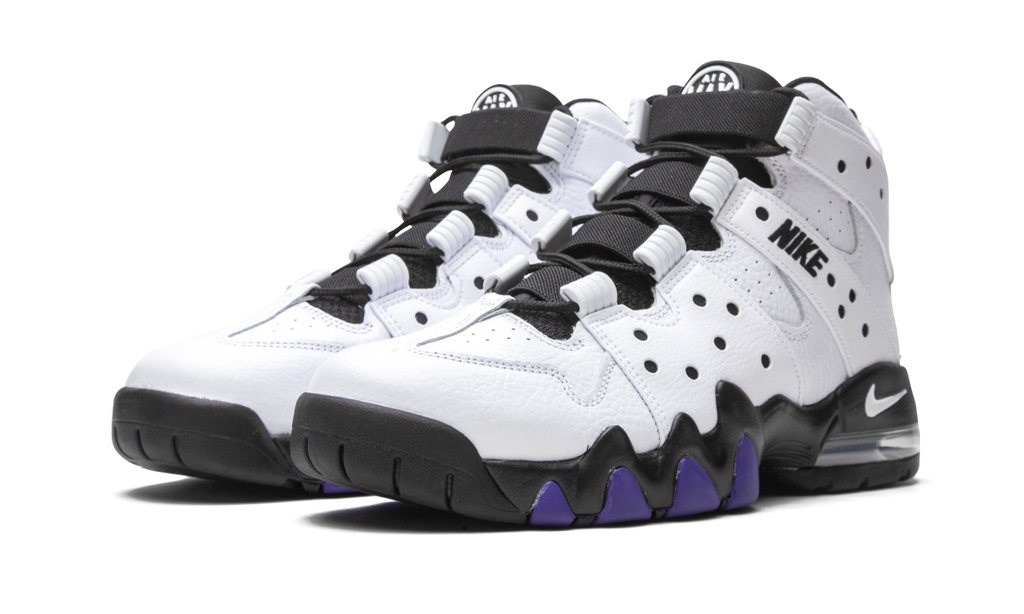 Air Max2 CB '94 "White / Varsity Purple" DD8557 100