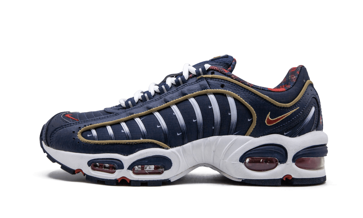 Air Max Tailwind 4 "USA" CK0849 400