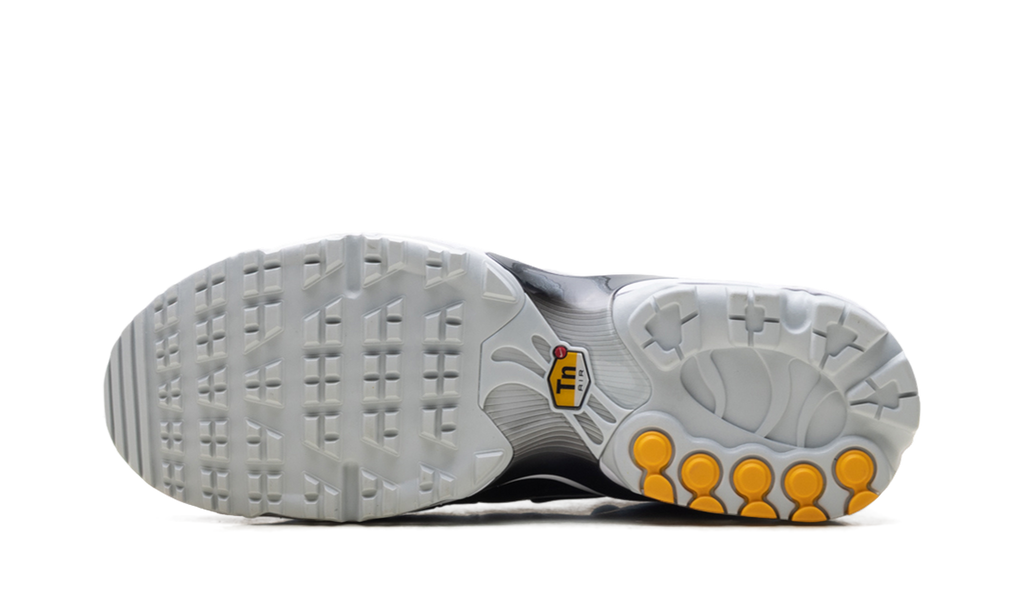 Air Max Plus Golf "Black Leather" FZ4150 001