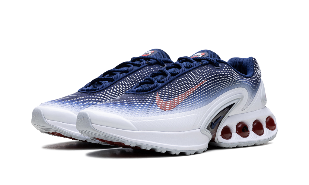 Air Max Dn "Team USA" FV2250 100