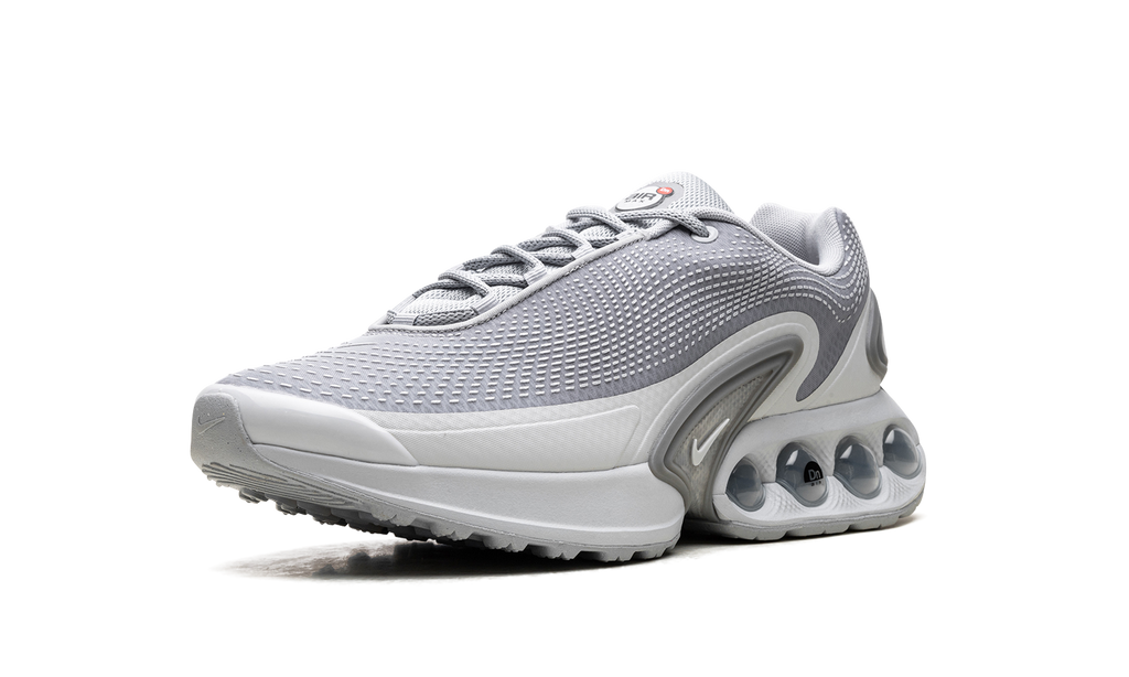 Air Max Dn "Wolf Grey" DV3337 007