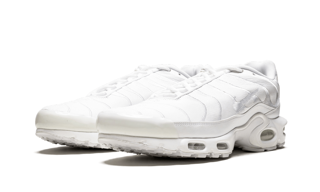 Air Max Plus "Triple Black" AJ2029 001
