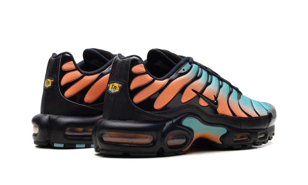 Air Max Plus "South Beach" DM0032 022