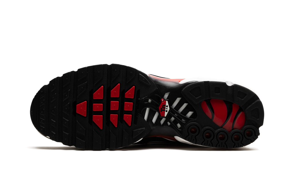 Air Max Plus "Black White University Red" DM0032 004