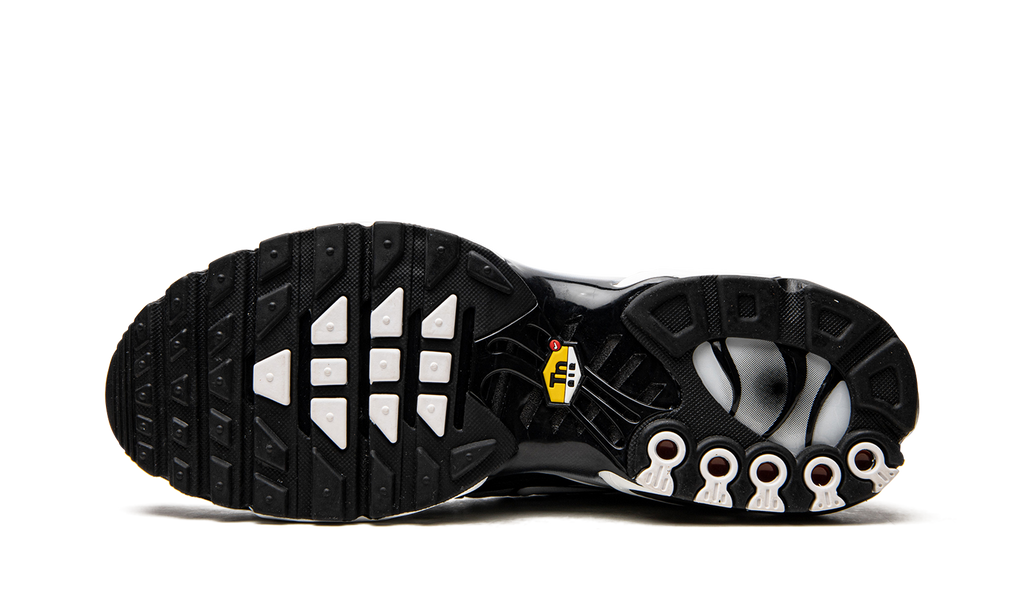 Air Max Plus "Black / Silver" DM0032 003