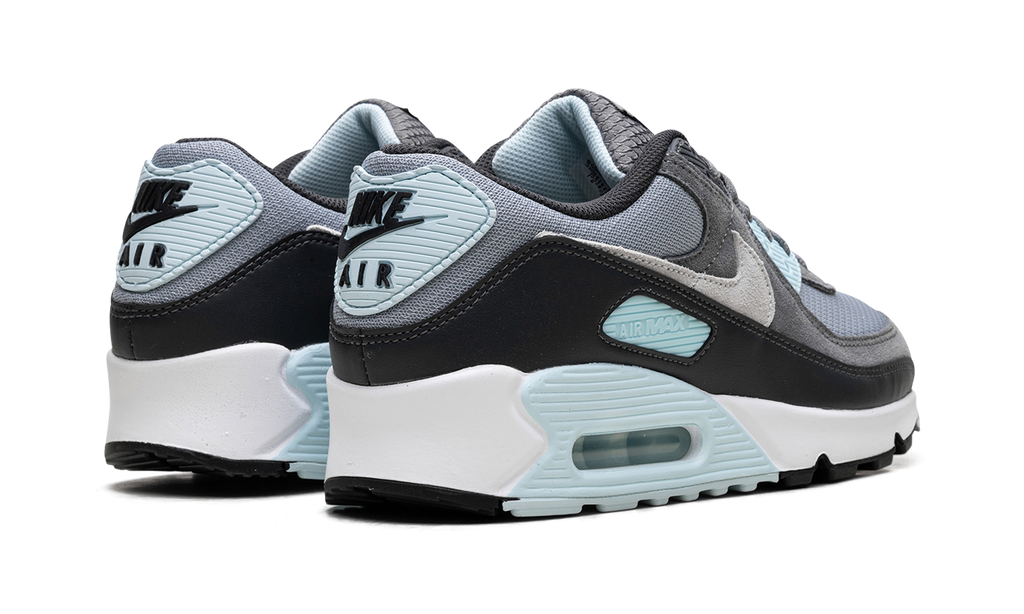 Air Max 90 "Pumice" DM0029 009