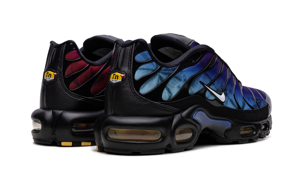 Air Max Plus "25th Anniversary" FV0393 001