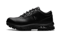 Air Max Goadome Low SP "Black Metallic Silver Pale Citron" IR2173 001