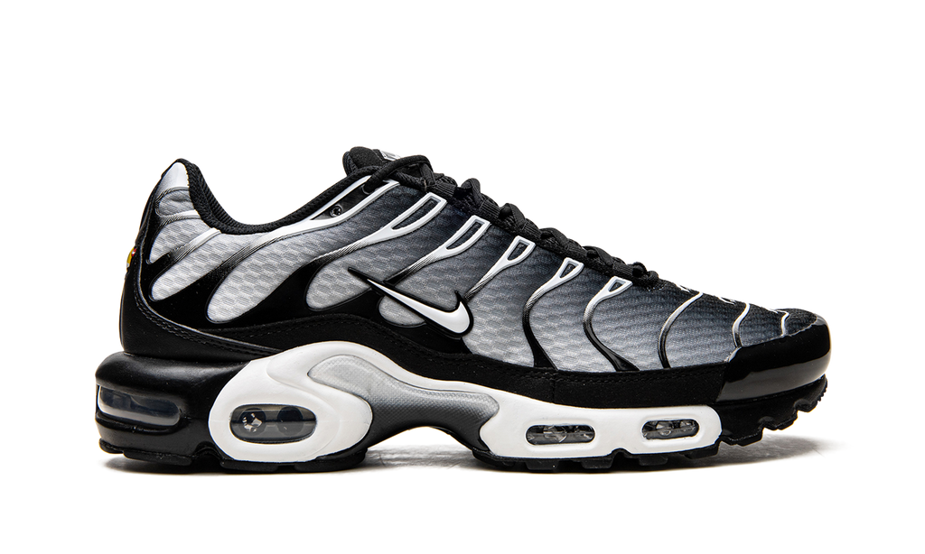 Air Max Plus "Black / Silver" DM0032 003
