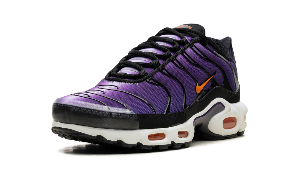 Air Max Plus "Voltage Purple" DX0755 500