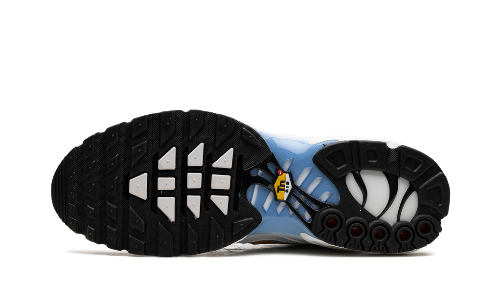 Air Max Plus "White University Blue" DM0032 101