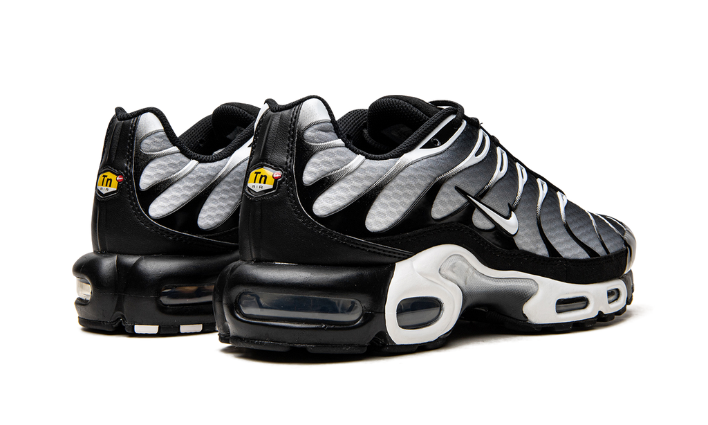 Air Max Plus "Black / Silver" DM0032 003